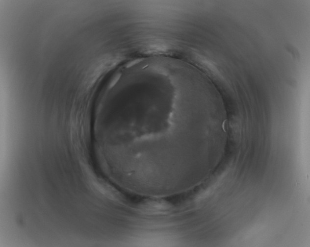 X0000114390642200910161255