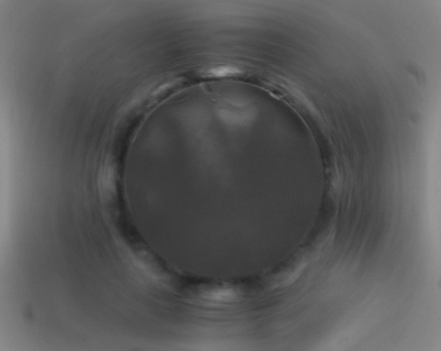 X0000114390643200910161255
