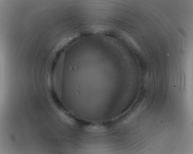 X0000114390644200910161255
