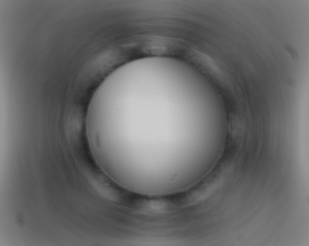 X0000114390645200910161255