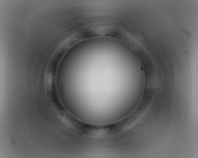 X0000114390646200910161255