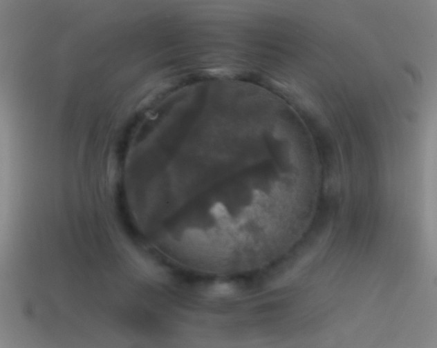 X0000114390647200910161255