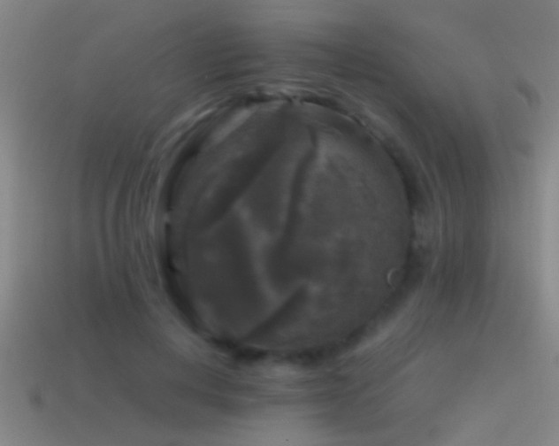X0000114390648200910161255