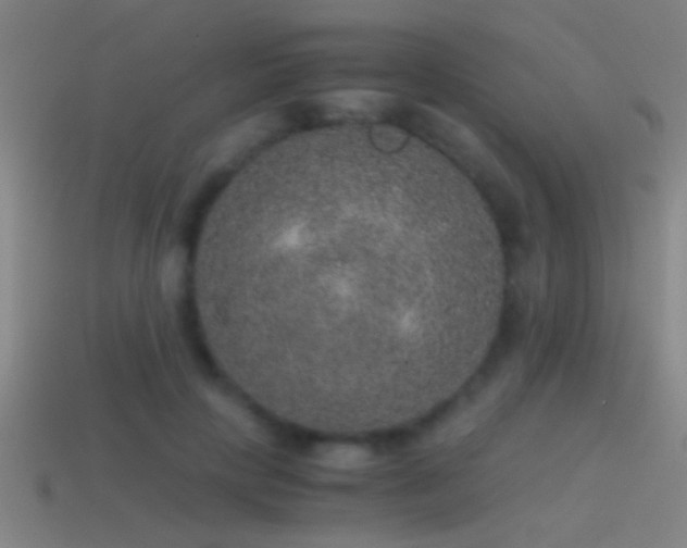 X0000114390649200910161255