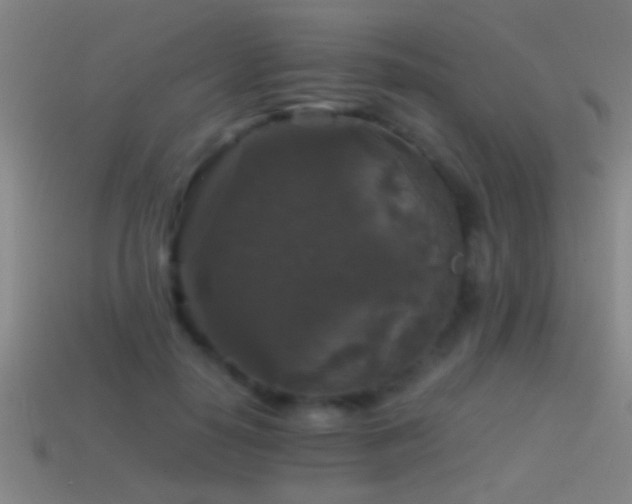 X0000114390650200910161255