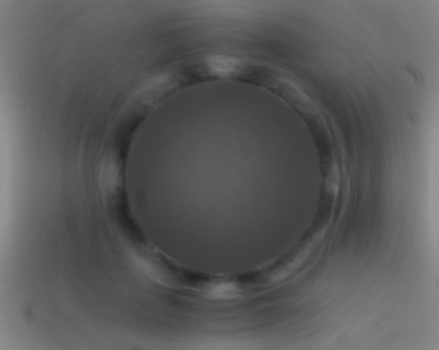 X0000114390651200910161255