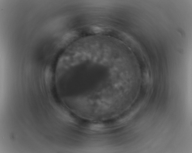X0000114390653200910161255