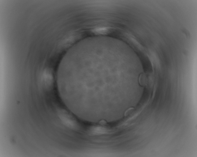 X0000114390655200910161255