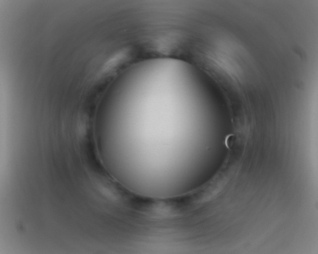 X0000114390656200910161255