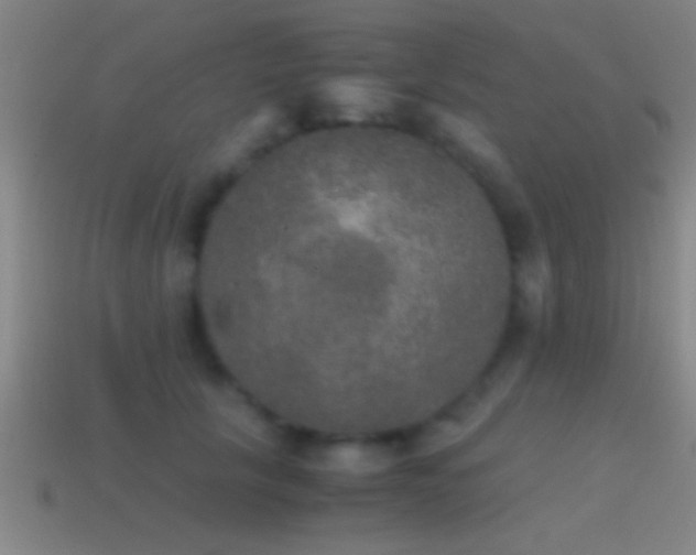X0000114390657200910161255