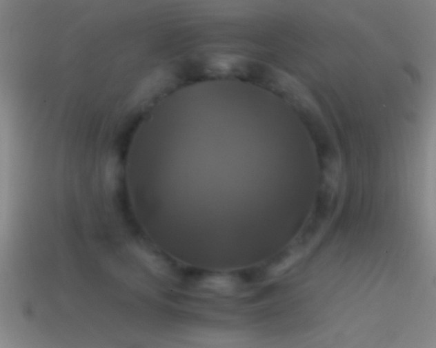 X0000114390659200910161255