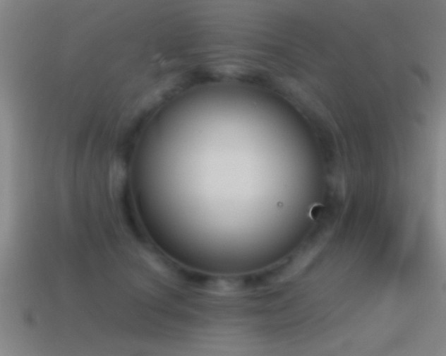 X0000114390660200910161255