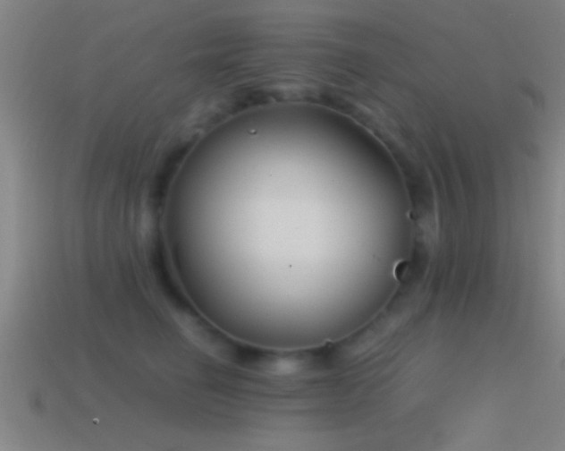 X0000114390662200910161255