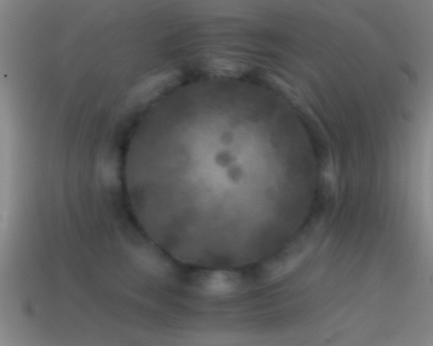 X0000114390663200910161255