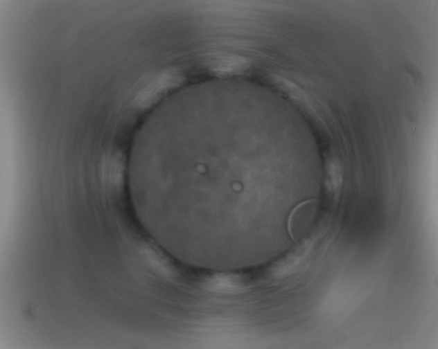 X0000114390664200910161255