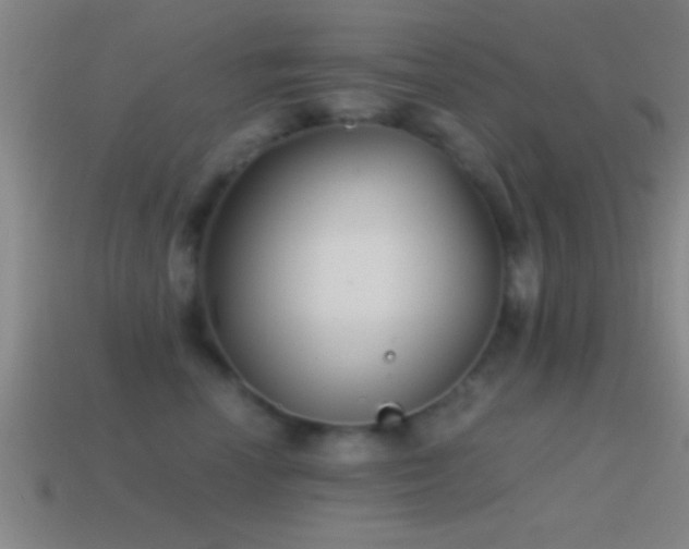 X0000114390666200910161255