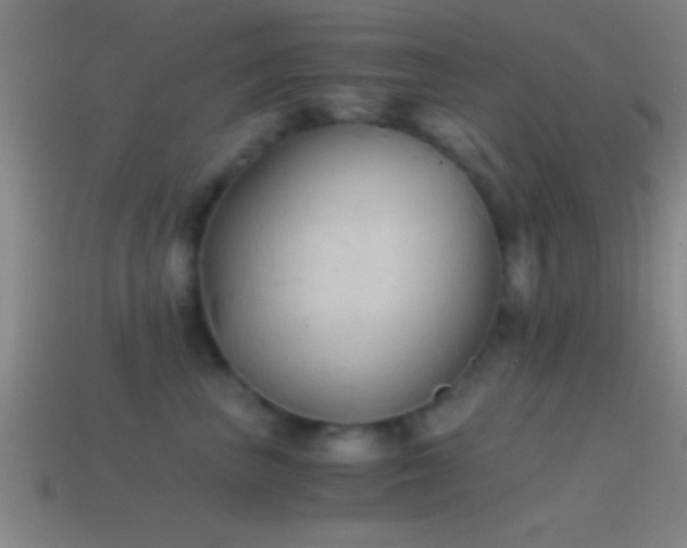 X0000114390667200910161255