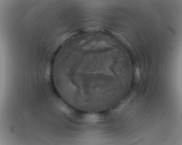 X0000114390668200910161255