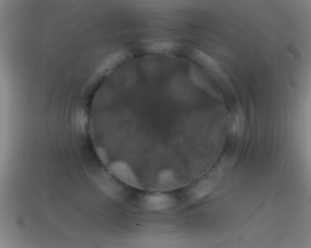 X0000114390669200910161255