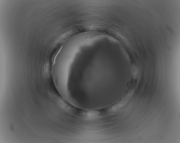 X0000114390670200910161255