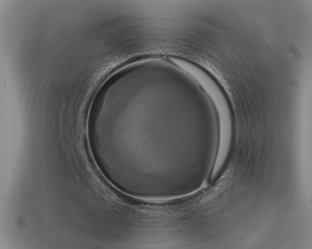 X0000114390673200910161254