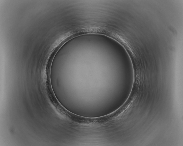 X0000114390674200910161254