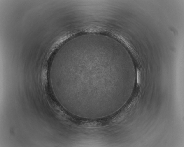 X0000114390675200910161254