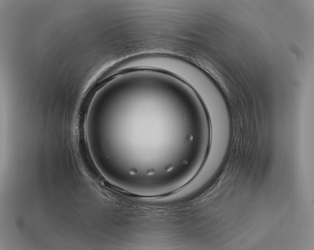 X0000114390676200910161254