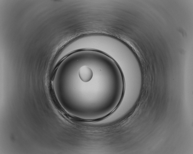 X0000114390677200910161254