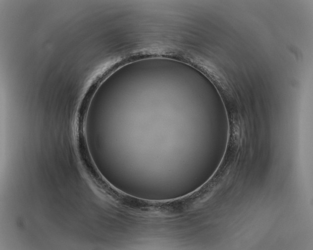 X0000114390678200910161254