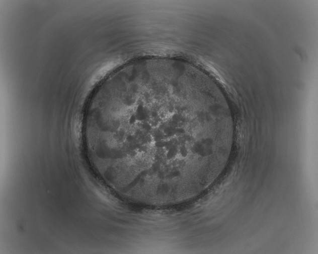 X0000114390679200910161254