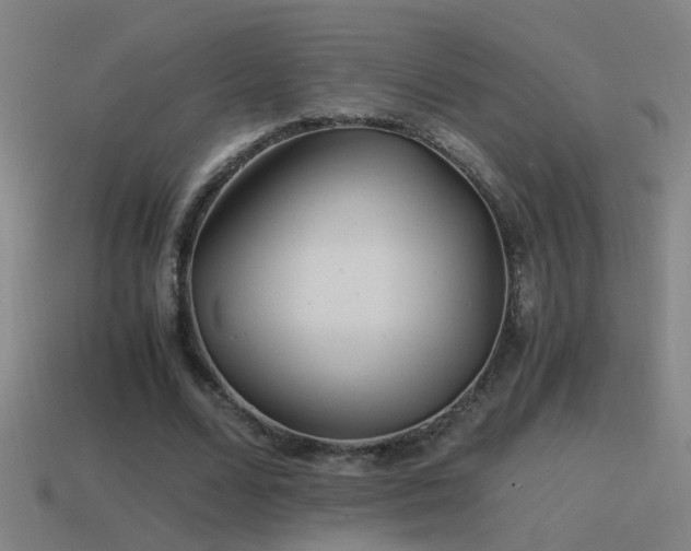 X0000114390680200910161254