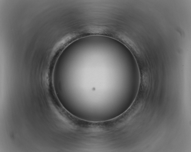 X0000114390682200910161254
