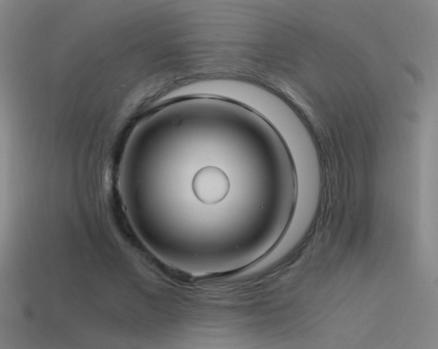 X0000114390685200910161254