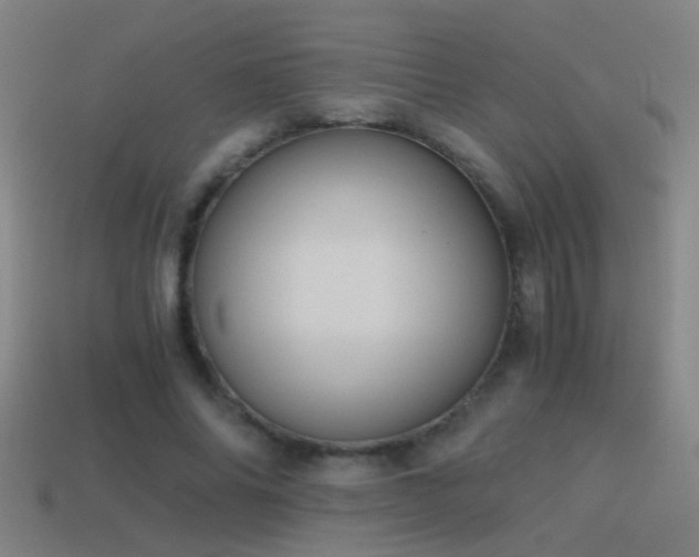 X0000114390686200910161254