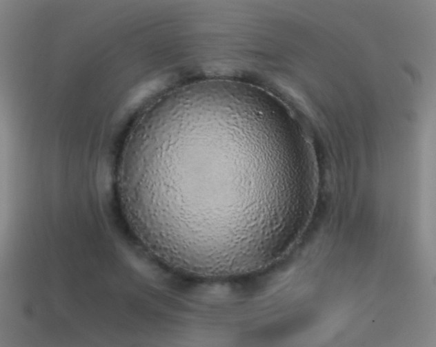 X0000114390687200910161254
