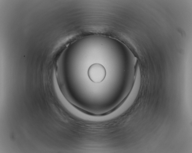 X0000114390688200910161254