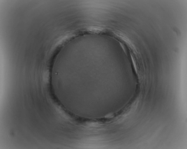 X0000114390689200910161254