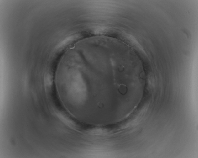 X0000114390691200910161254