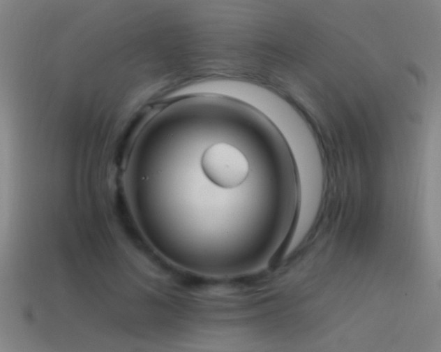 X0000114390692200910161254