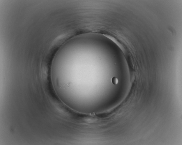 X0000114390693200910161254