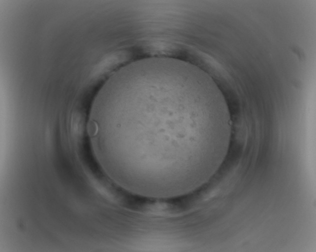 X0000114390695200910161254