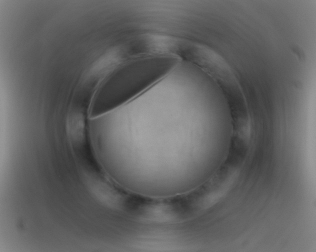 X0000114390696200910161254