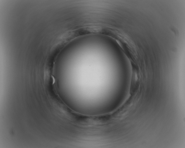 X0000114390697200910161254