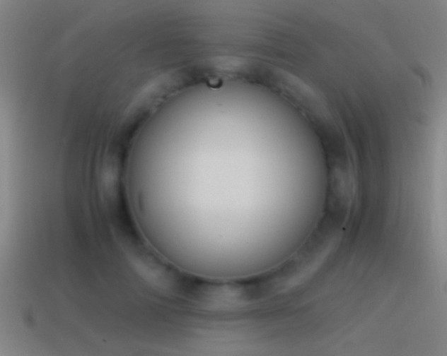 X0000114390698200910161254