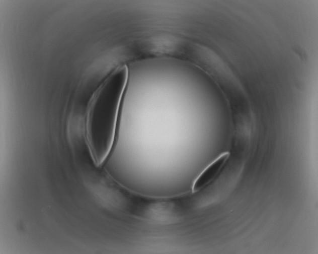 X0000114390700200910161254
