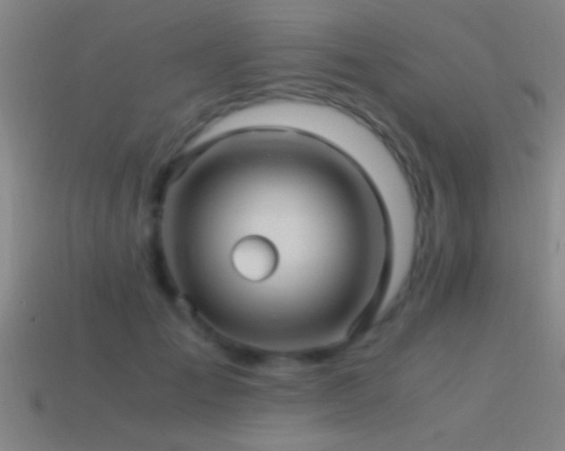 X0000114390701200910161254