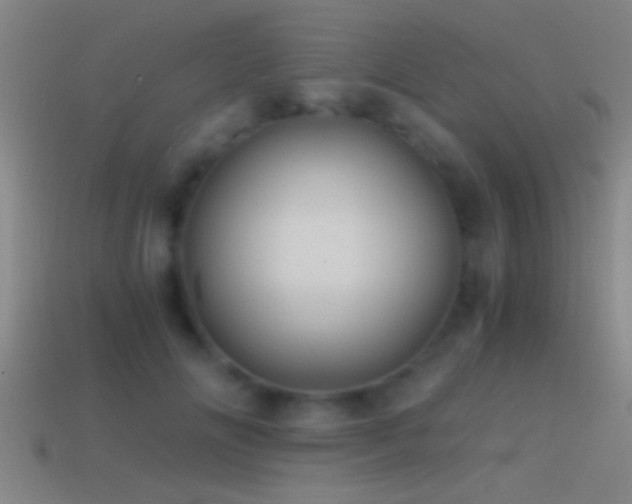 X0000114390702200910161254