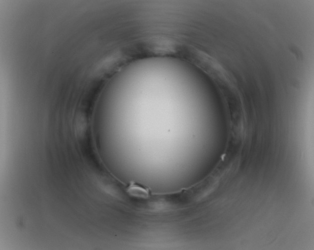 X0000114390704200910161254