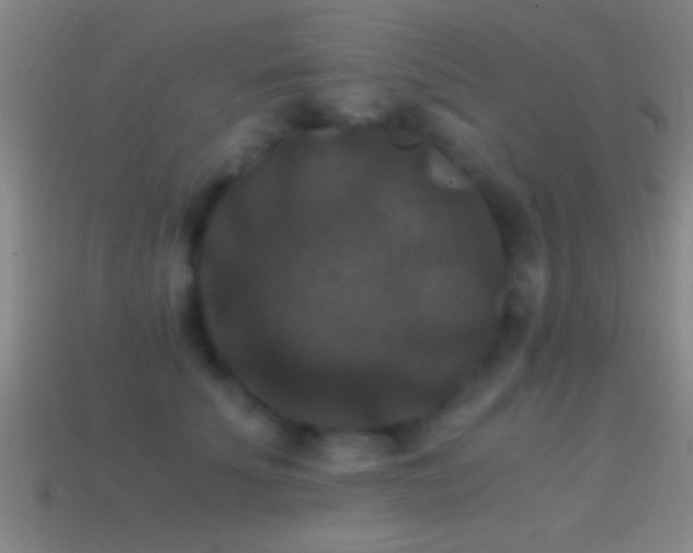 X0000114390707200910161254